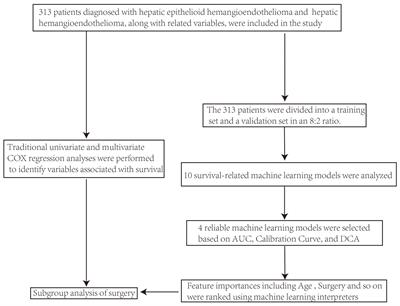 Comprehensive evaluation of clinical outcomes in hepatic epithelioid hemangioendothelioma subsets: insights from SEER Database and departmental cohort analysis